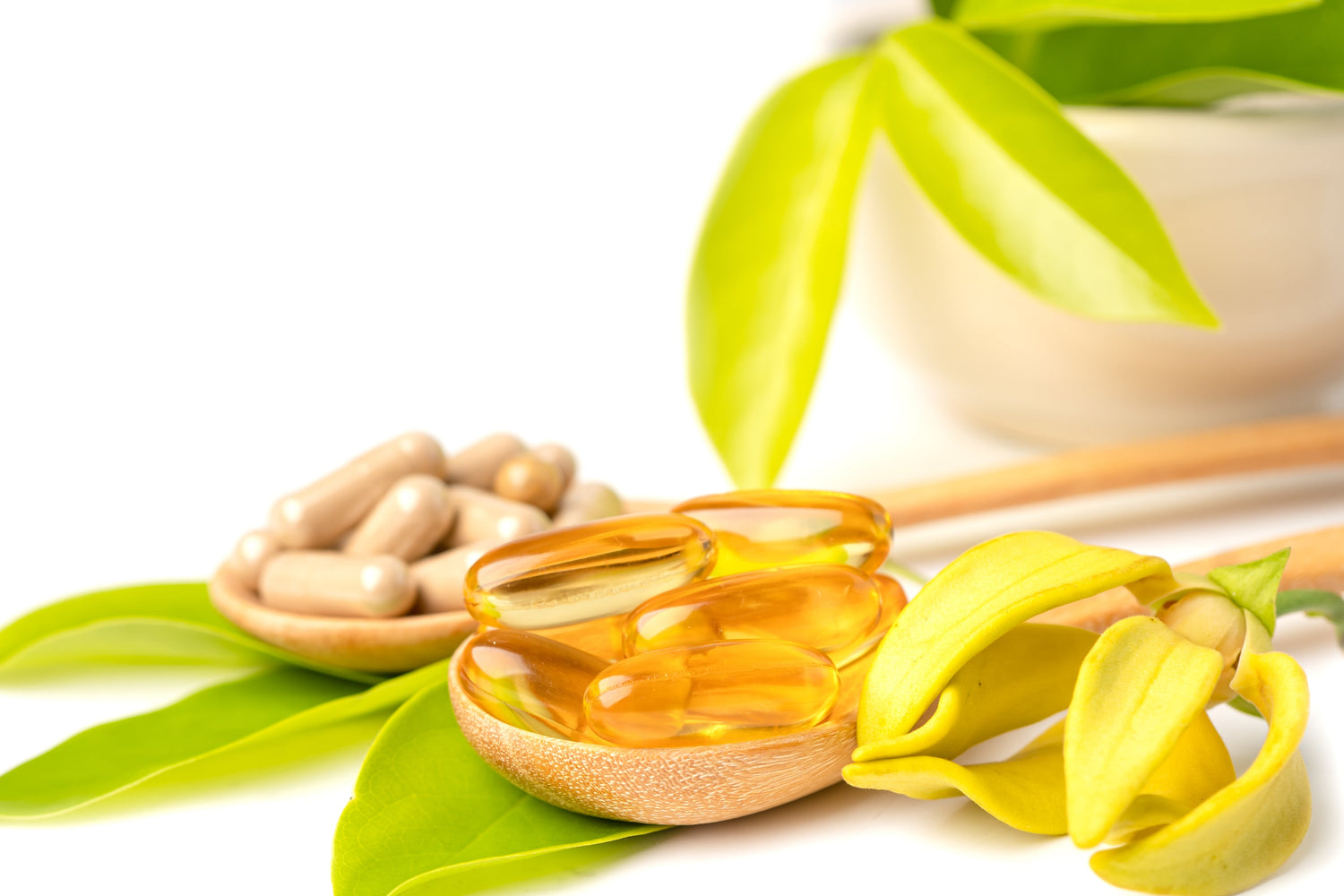 Omega & Healthy Fats