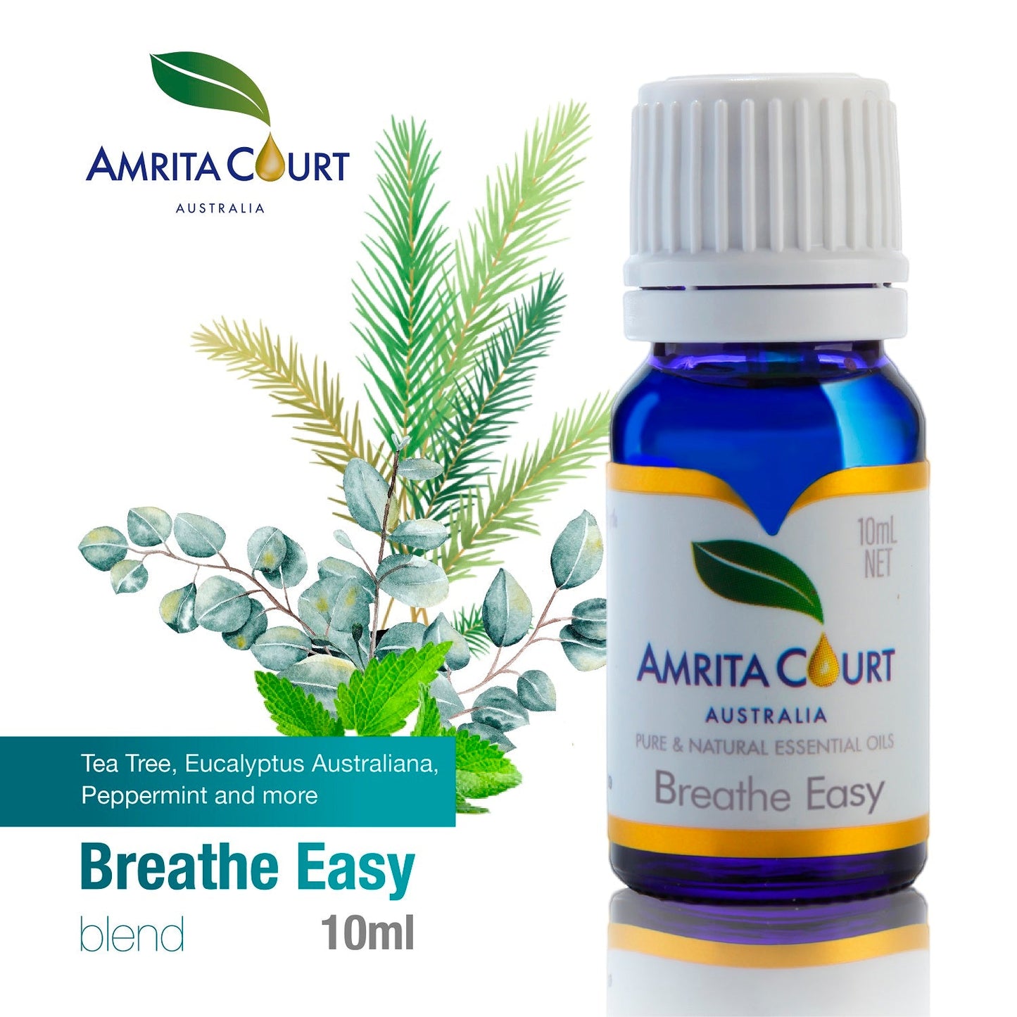 Best Sellers Essential Oil | Breathe Easy+Peaceful Sleep | Two Most Important Factors in Life