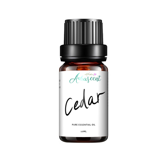 Cedar Essential Oil - 10ml