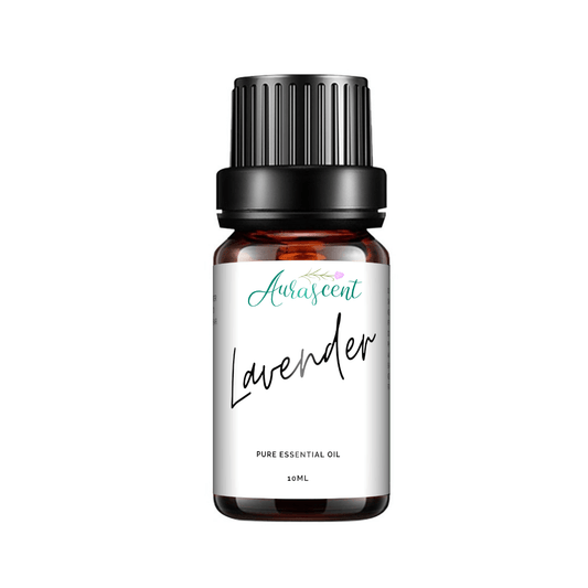 Lavender Essential Oil - 10ml