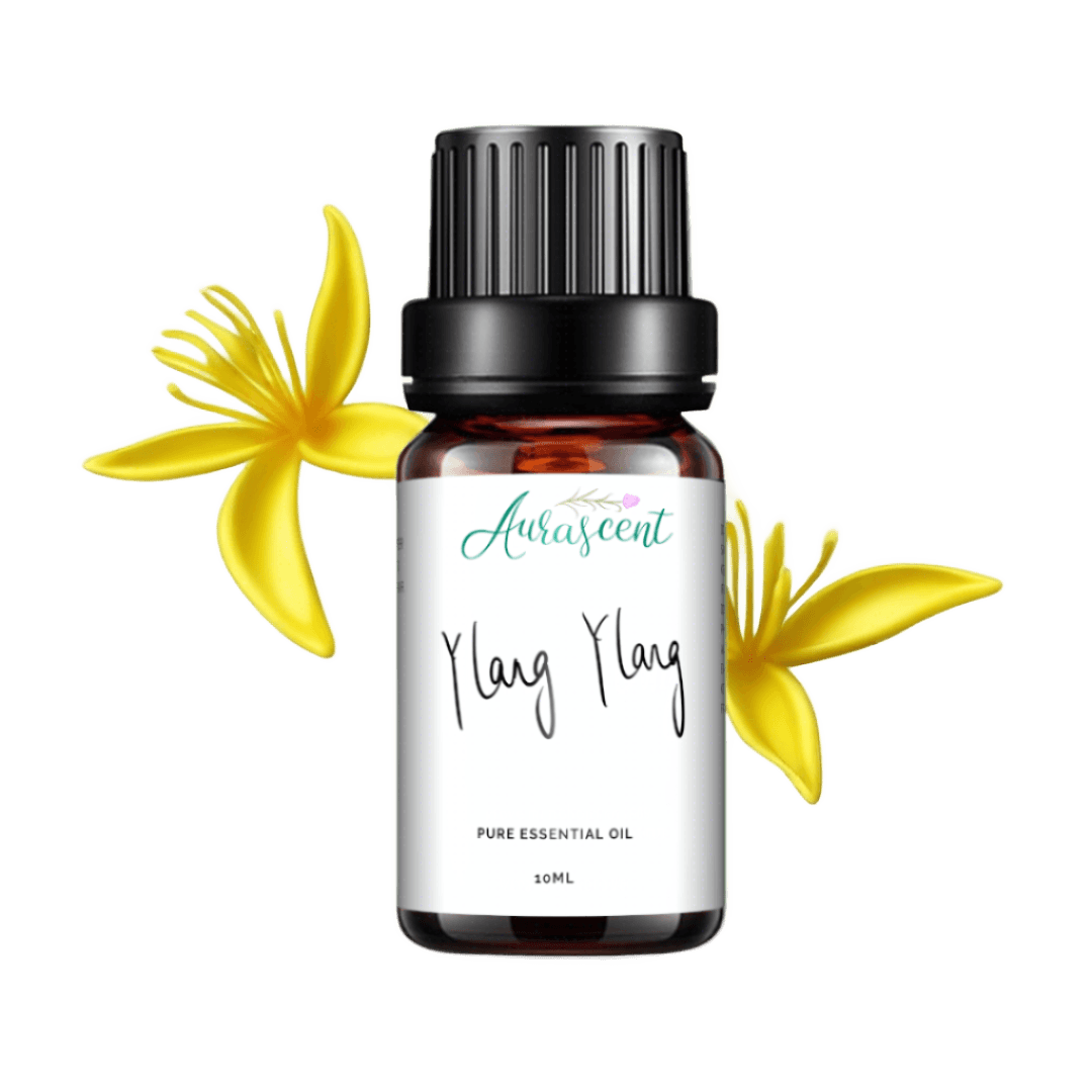 Ylang Ylang Essential Oil - 10ml